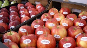 Expert rus: Moscova trebuie să renunţe la embargoul impus Moldovei