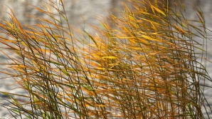 Meteorologii prezic vreme instabilă, dar caldă