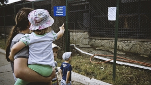 Băi fierbinţi pentru locuitorii unui parc zoologic. Cine sunt beneficiarii terapiilor (VIDEO)