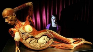 Pentru unii bizar, pentru alţii interesant. Cadavre umane au fost expuse la un muzeu din Berlin