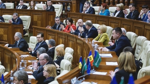 Parlamentul va alege conducerea comisiei de anchetă care va examina situaţia a trei bănci cu probleme