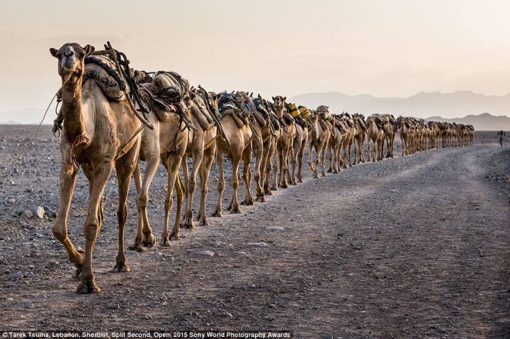 Cele mai impresionante poze nominalizate la Sony World Photography Awards 2015 (FOTOREPORT)