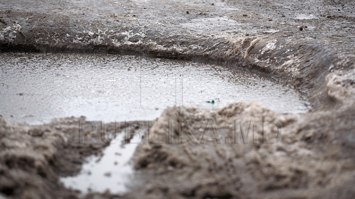 Descoperire şocantă. Ce a găsit un bărbat într-o groapă plină de noroi (FOTO)