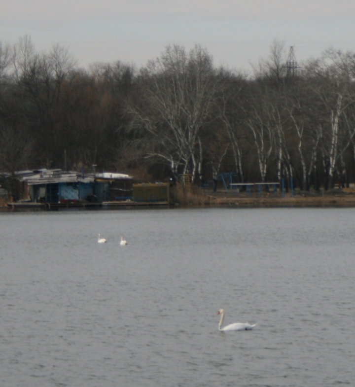 O nouă atracţie în Parcul "La Izvor" din capitală (FOTO)