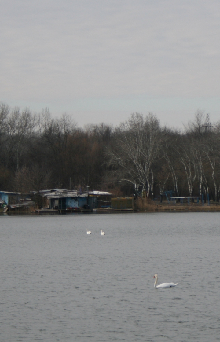 O nouă atracţie în Parcul "La Izvor" din capitală (FOTO)