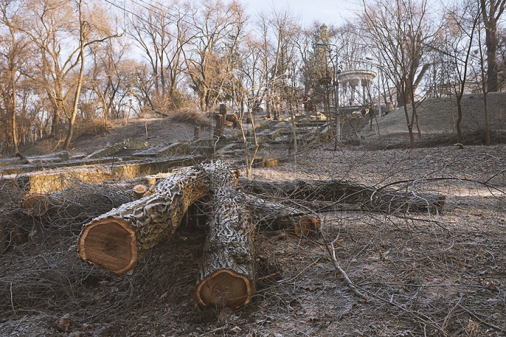 Va renaşte ca Pasărea Phoenix! Cum este restaurată Scara Cascadelor din Chişinău (FOTOREPORT)