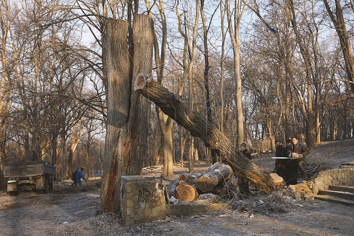 Va renaşte ca Pasărea Phoenix! Cum este restaurată Scara Cascadelor din Chişinău (FOTOREPORT)