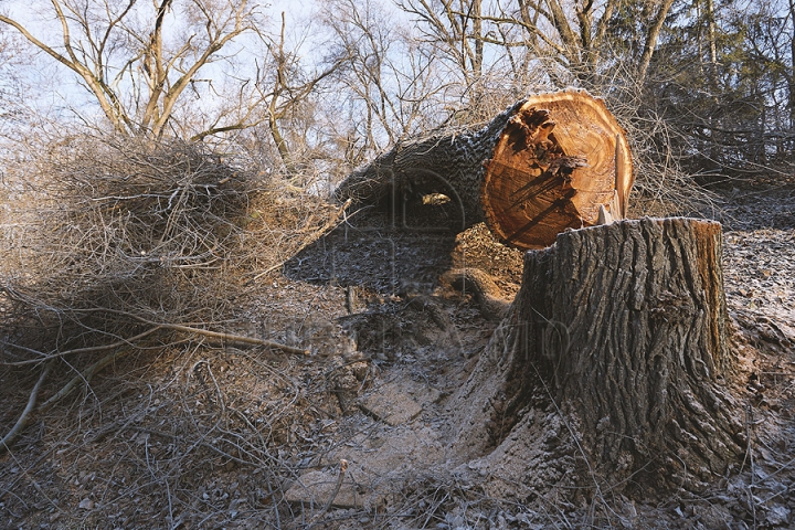 Va renaşte ca Pasărea Phoenix! Cum este restaurată Scara Cascadelor din Chişinău (FOTOREPORT)