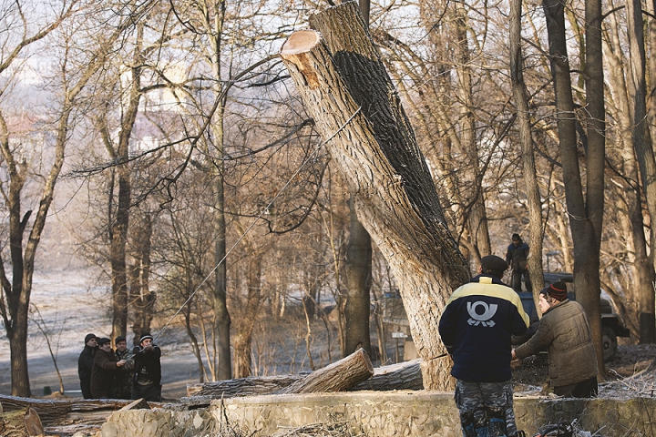 Va renaşte ca Pasărea Phoenix! Cum este restaurată Scara Cascadelor din Chişinău (FOTOREPORT)