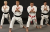 Un nou seminar internaţional la karate Goju-Ryu se desfăşoară la Chişinău (VIDEO)