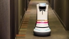 Un hotel american testează un robot pe rol de majordom. Clienţii sunt încântaţi (VIDEO)