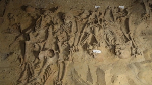 Descoperire TERIFIANTĂ într-un centru comercial din Paris. Datează din secolul XVII