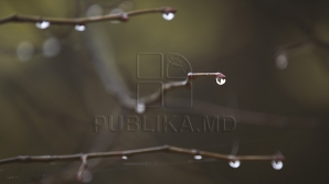 Meteorologii AVERTIZEAZĂ: S-au terminat zilele cu mult soare şi maxime generoase