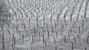 Baba Dochia în drum spre Moldova. Va scutura lapoviţă din cojoace