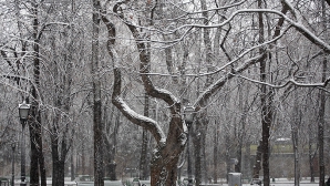 Iarnă afară, primăvară-n calendar! IMAGINI UIMITOARE cu ninsoarea din luna martie