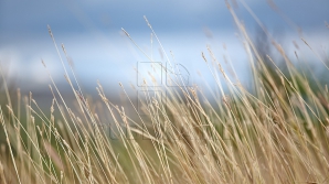 Sinopticienii promit maxime generoase, însă va ploua slab. PROGNOZA METEO