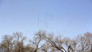 Primăvara îşi intră în drepturi! Meteorologii anunţă vreme frumoasă și însorită în toată ţara