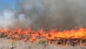 Incendiu între cele două Corei! Trei elicoptere și cel puțin 50 de pompieri luptă cu flăcările