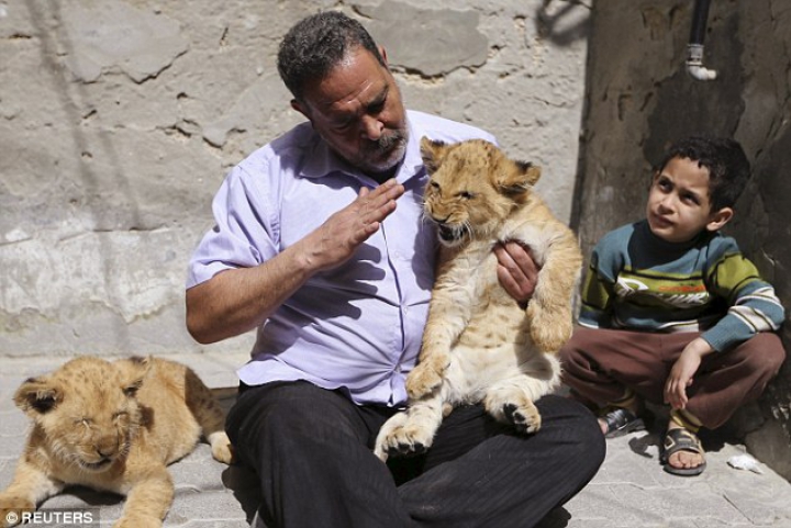 FOTOREPORT: Membrii adorabili ai unei familii din Gaza sunt hrăniţi ZILNIC cu kilograme de carne