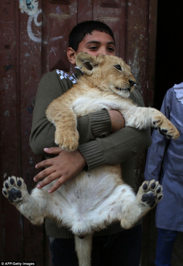 FOTOREPORT: Membrii adorabili ai unei familii din Gaza sunt hrăniţi ZILNIC cu kilograme de carne