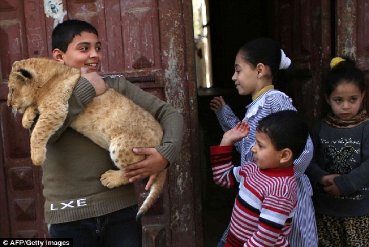 FOTOREPORT: Membrii adorabili ai unei familii din Gaza sunt hrăniţi ZILNIC cu kilograme de carne