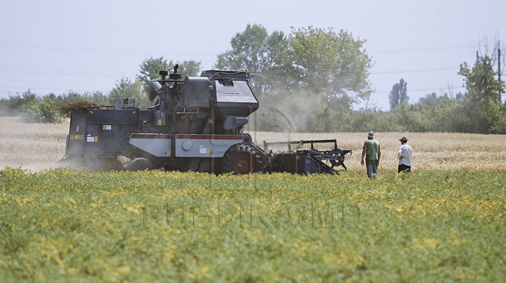 Veste bună pentru agricultori. Banii oferiţi prin programul ENPARD, tot mai aproape