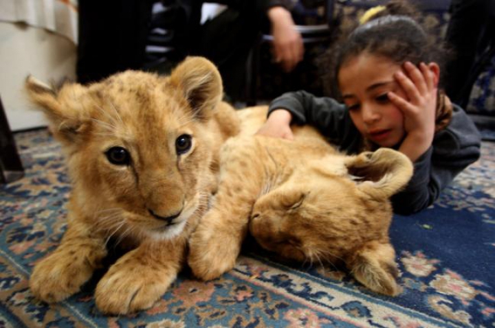 FOTOREPORT: Membrii adorabili ai unei familii din Gaza sunt hrăniţi ZILNIC cu kilograme de carne