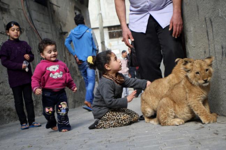 FOTOREPORT: Membrii adorabili ai unei familii din Gaza sunt hrăniţi ZILNIC cu kilograme de carne