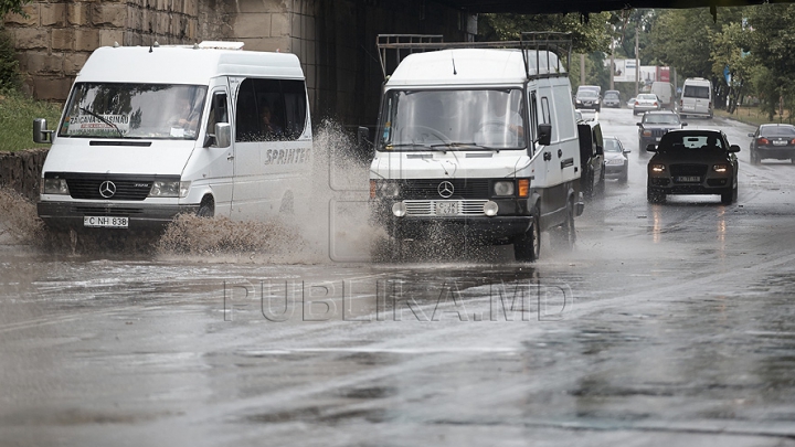 Urma să ajungă pe mesele moldovenilor! Ce transporta un bărbat în condiţii antisanitare 