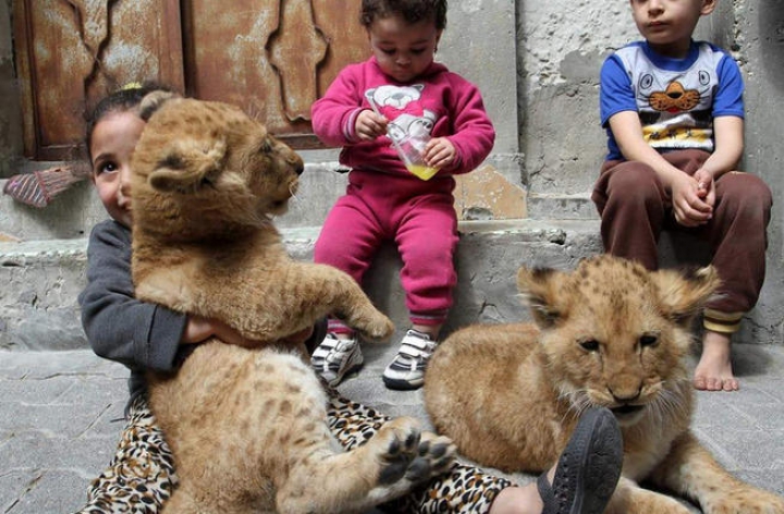 FOTOREPORT: Membrii adorabili ai unei familii din Gaza sunt hrăniţi ZILNIC cu kilograme de carne