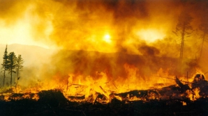 Siberia în FLĂCĂRI! Cel puțin 15 oameni au murit, iar peste o mie de case au fost distruse