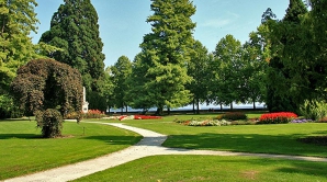 Surpriză într-un parc din New York. Ce a apărut peste noapte