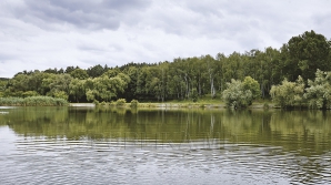 VIN FURTUNI în următoarele zile. Când va ploua şi câte grade vor indica termometrele