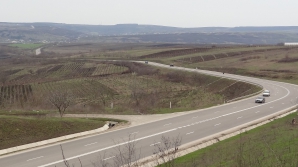 REȚINERE pe traseul Orhei-Chișinău. Un șofer riscă o amendă de MII de lei