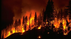 Flăcările care pârjolesc Siberia, au ajuns și în China! Cel puțin 20 de oameni și-au pierdut viața