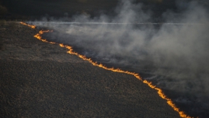 INFERNUL din nordul Ucrainei! Imagini cu flăcările care se apropie de Cernobîl (VIDEO)