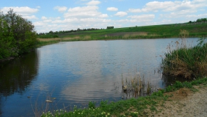 A pescuit ilegal şase tone de peşte! Cum a fost pedepsit un bărbat din Drochia