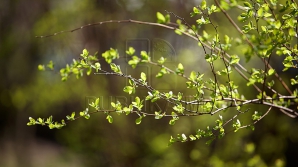 Primăvara îşi intră în drepturi. Anunţul meteorologilor privind vremea de Paşte