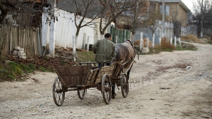 Satul în care Internetul este înlocuit cu o căruţă trasă de cai (VIDEO)