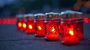 DOLIU în lumea cărţilor. Directorul Bibliotecii Naţionale a murit