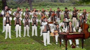 Oameni de ştiinţă şi artă pledează pentru extinderea spaţiului de emisie dedicat produselor autohtone  