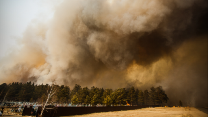 Nu mai contenesc! Incendiile de vegetație au ajuns până în regiunea rusă Transbaikal (FOTOREPORT)