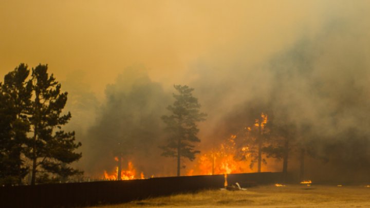 Nu mai contenesc! Incendiile de vegetație au ajuns până în regiunea rusă Transbaikal (FOTOREPORT)