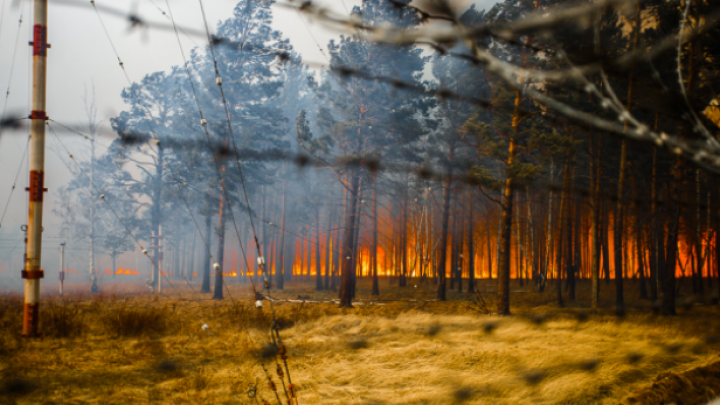 Nu mai contenesc! Incendiile de vegetație au ajuns până în regiunea rusă Transbaikal (FOTOREPORT)