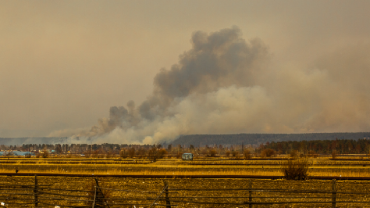 Nu mai contenesc! Incendiile de vegetație au ajuns până în regiunea rusă Transbaikal (FOTOREPORT)