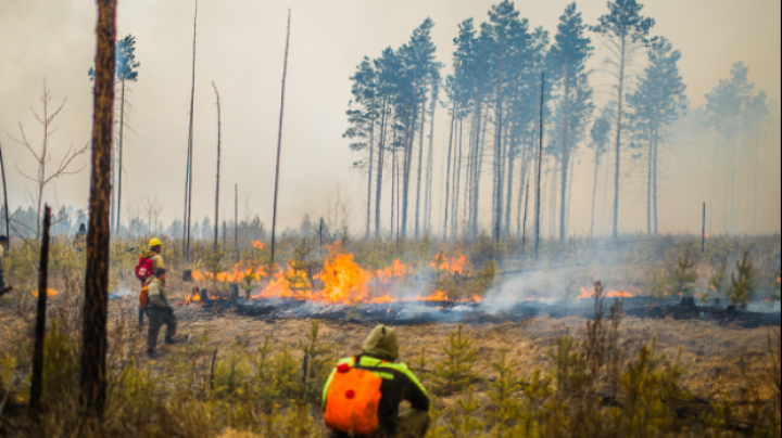 Nu mai contenesc! Incendiile de vegetație au ajuns până în regiunea rusă Transbaikal (FOTOREPORT)