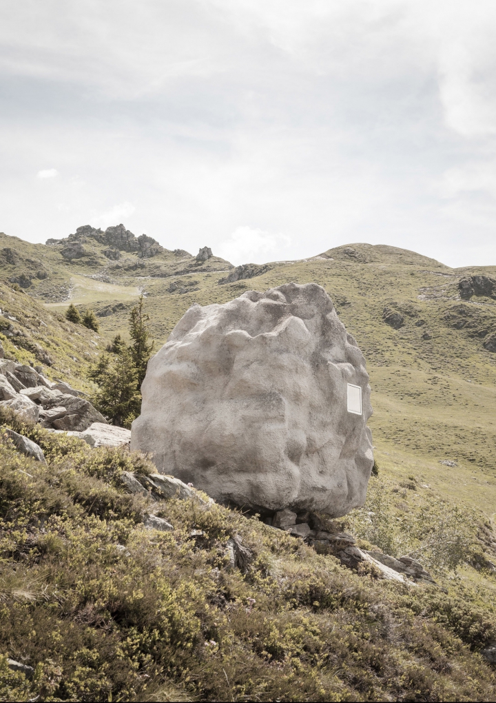 NICI PRIN GÂND SĂ-ȚI TREACĂ! Ce se ascunde în interiorul unui bolovan din Alpi (FOTO)