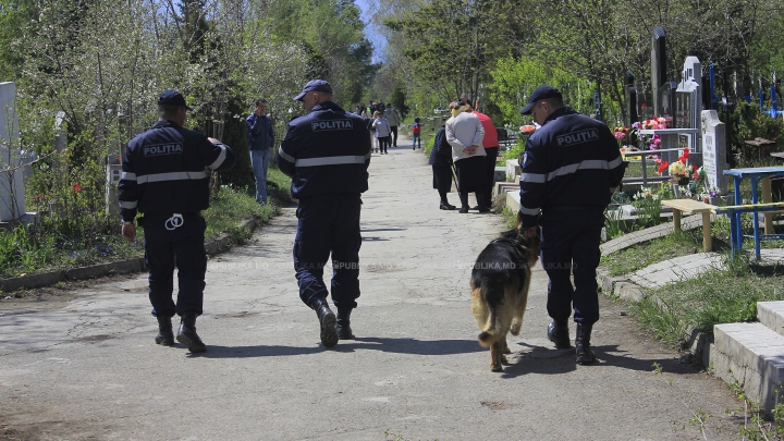 Aglomerație, pomeni și cerșetori la Cimitirul Sf. Lazăr de Paștele Blajinilor (FOTOREPORT)