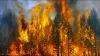 INCENDIILE nu se mai sting în Siberia. Starea de urgenţă continuă deja a doua lună