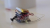 PUBLIKA ONLINE: MicroTugs, roboţii capabili de o performanță cu adevărat incredibilă (VIDEO)
